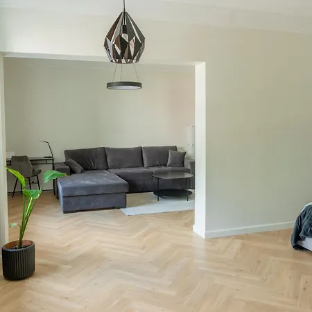 Stylish In The Heart Of Daire *
